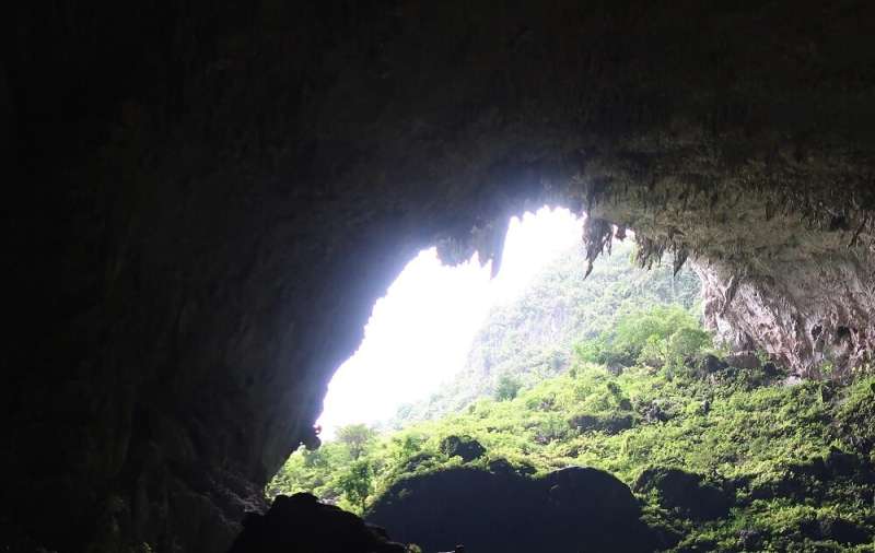 Scientists unravel biotic colonization history of subtropical east asian caves