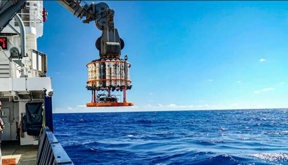 Scientists use carbon to detect a new nitrogen source in the open ocean