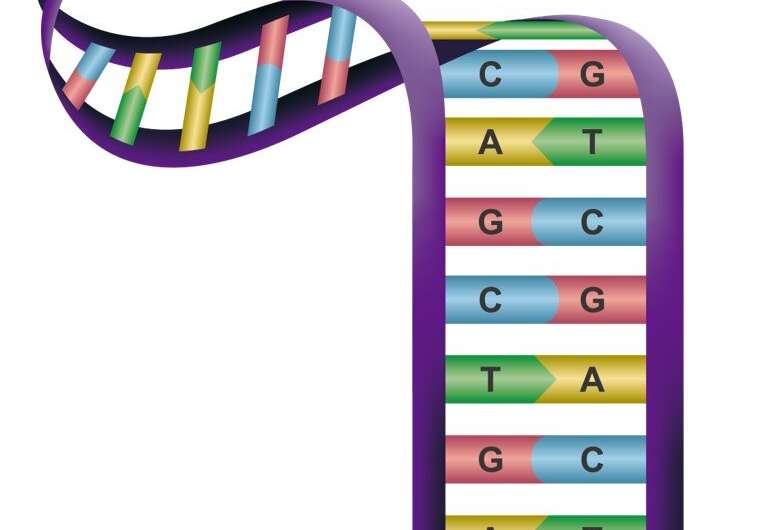Scientists use 'sticky' DNA to build organized structures of gel blocks