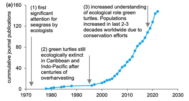 Sea turtles are returning — what are the effects on ecosystem functioning?