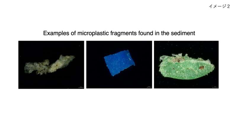 Seafloor sediments tell a 75-year history of marine microplastic pollution