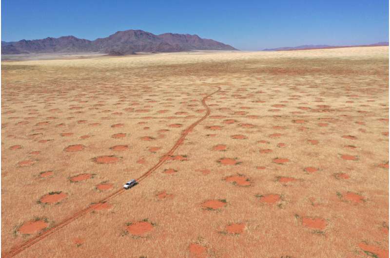 The secret of Namibia's fairy circles is mysterious: plants are self-organizing
