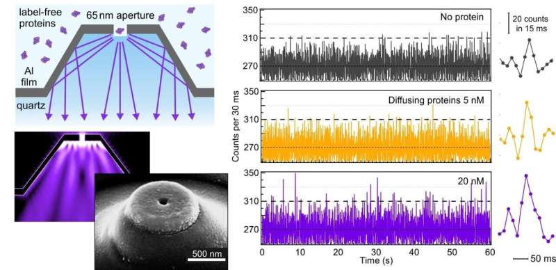 Seeing the intrinsic emission from a single natural protein with ultraviolet optical antennas