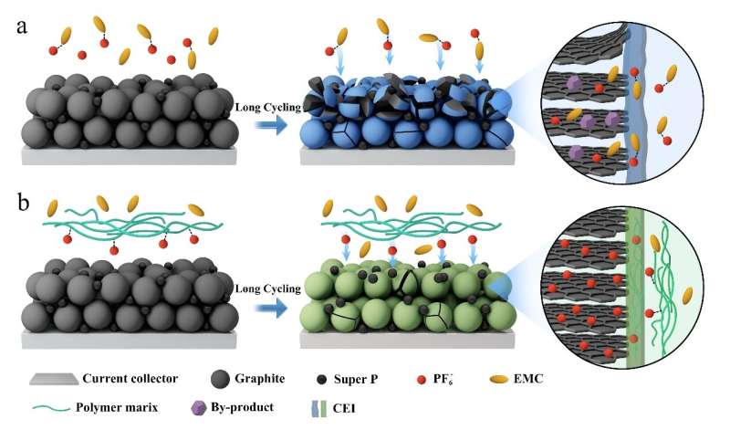 Selective membrane may cycle dual-ion batteries closer to reality