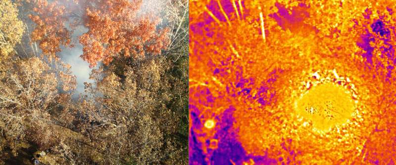 Sensor research helps fight wildfires