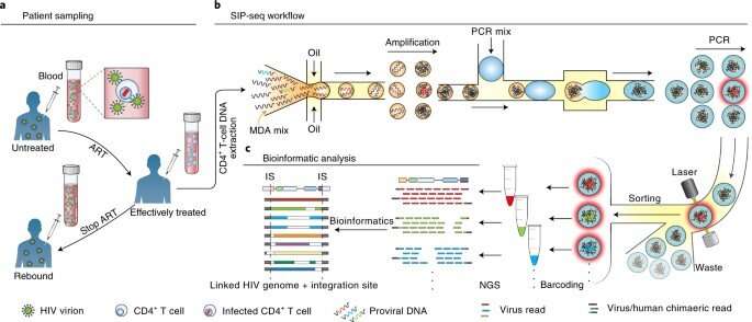 Sequencing HIV proviruses from people on antiretroviral therapy using droplet-microfluidics