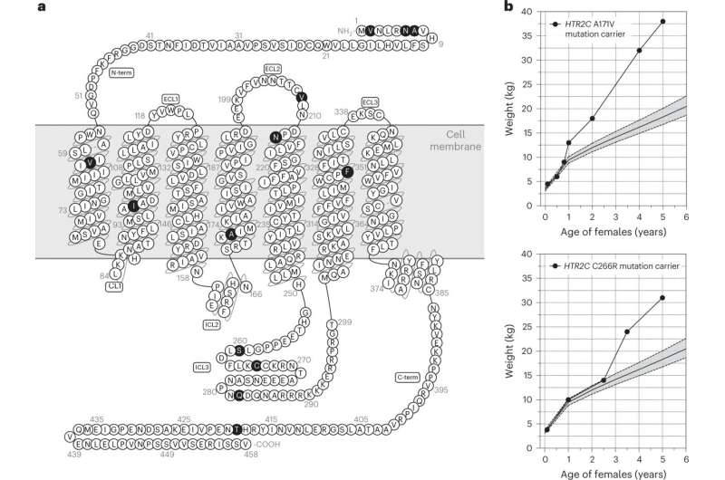 Serotonin 2C receptor associated with obesity and maladaptive behavior