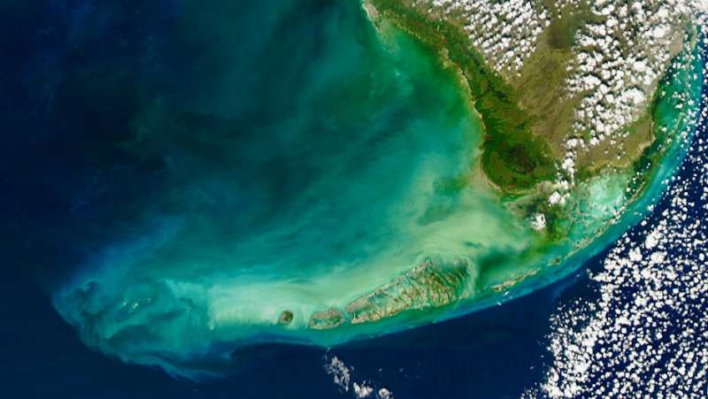 Seventy percent of Florida's coral reefs are eroding, new study finds