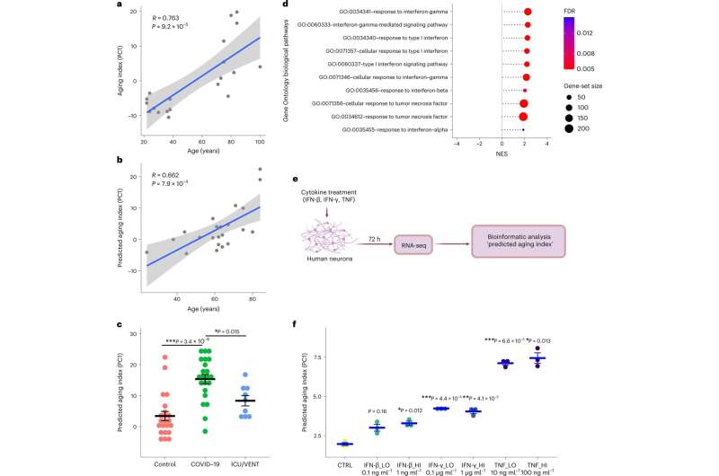 Severe COVID-19 is associated with molecular signatures of aging in the human brain