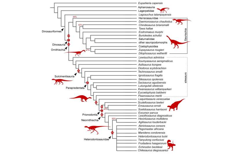 Shaking up the dinosaur family tree: how did dinosaurs evolve with 