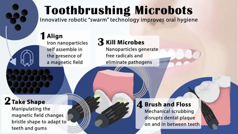 Shapeshifting microrobots can brush and floss teeth
