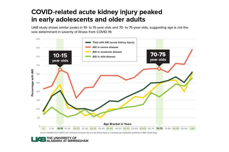 Similar rates of COVID-related acute kidney injury found in early adolescents and older adults, study shows