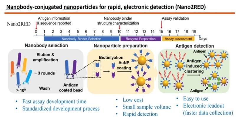 Simple, inexpensive, fast and accurate nanosensors pinpoint infectious diseases