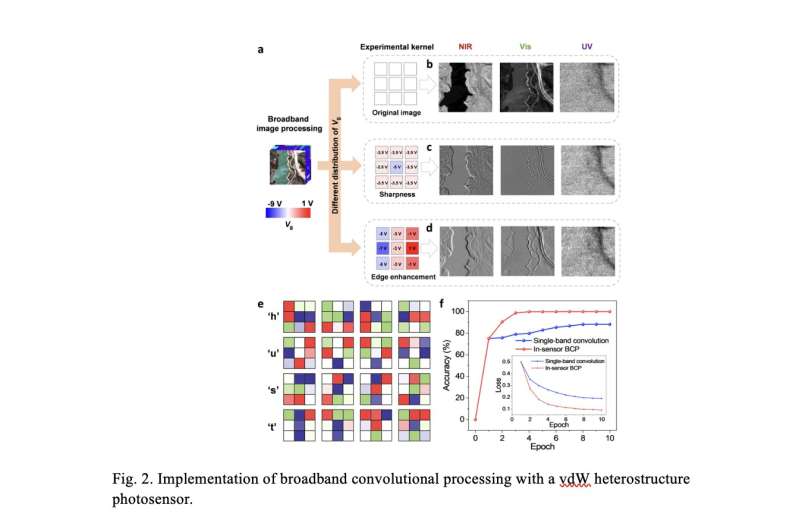 Simultaneous broadband image sensing and convolutional processing using van der Waals heterostructures