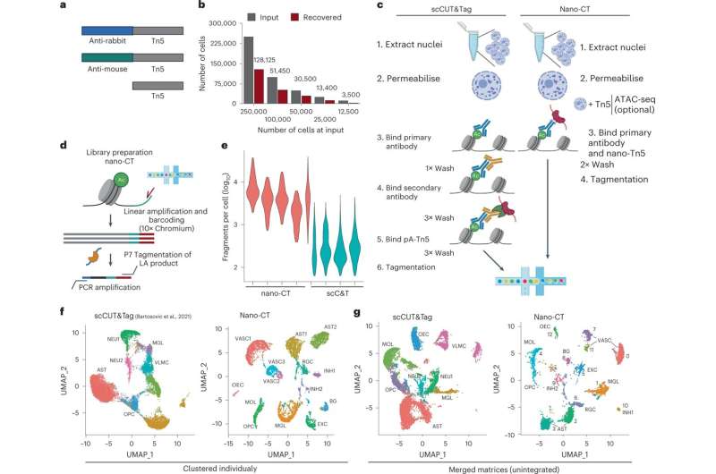 Simultaneous mapping of several epigenetic landmarks in a single cell