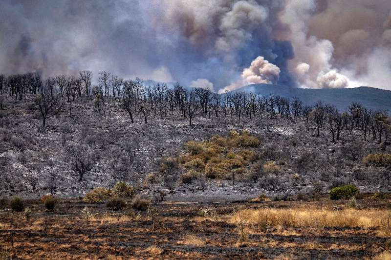 Since Wednesday night, at least 1,000 hectares (2,500 acres) of forest have been burned in Larache and Ouezzane, according to in