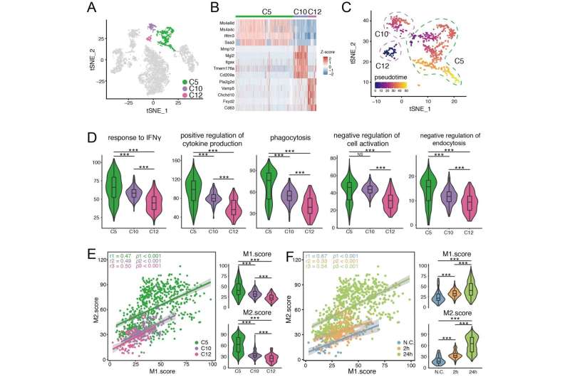 Single-cell transcriptomics of immune cells in lymph nodes reveals their composition and alterations in functional dynamics duri