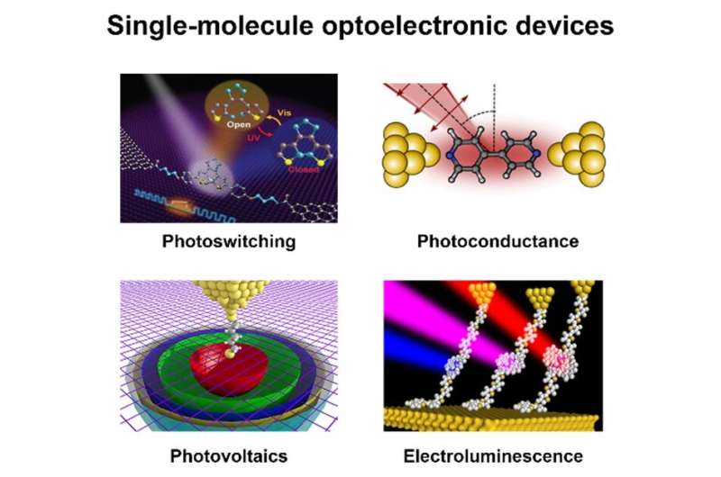 Single-molecule optoelectronic devices