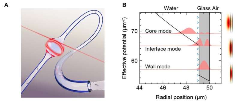 Single-molecule optofluidic microsensor with interface whispering gallery modes