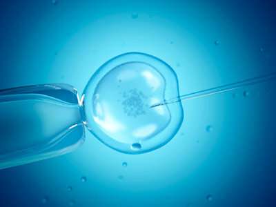 Smaller eggs enhance IVF outcomes for male infertility in mice