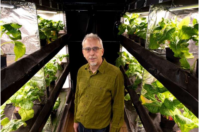 ‘Smart’ greenhouses could slash electricity costs