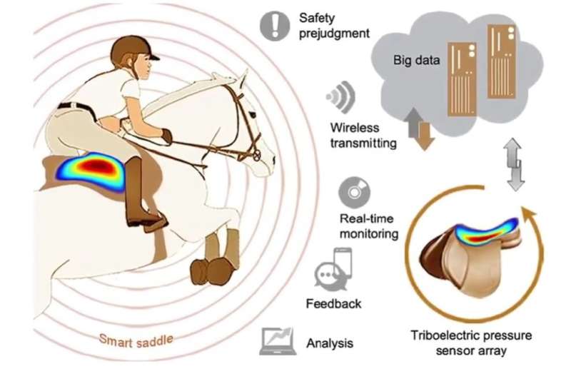 'Smart saddle' could help equestrians hit their stride