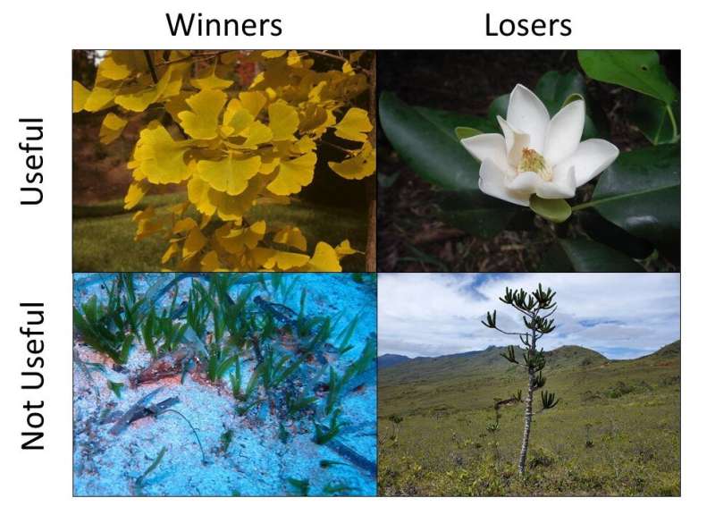 Estudio del Smithsonian encuentra más 'perdedores' que 'ganadores' entre las plantas en la era de los humanos
