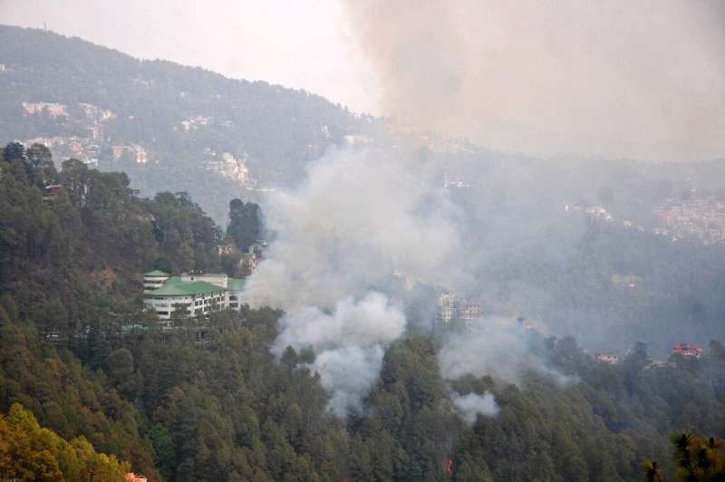 Indijos Himačal Pradešo valstijoje, Šimloje kilus miško gaisrui, kilo dūmai
