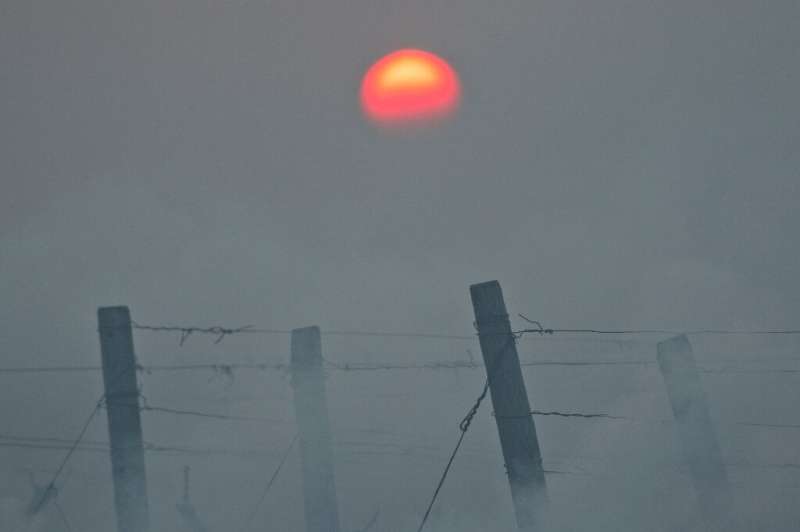 Smoke covers this vineyard as growers scrambled to protect crops from the second freak spring weather event in a row