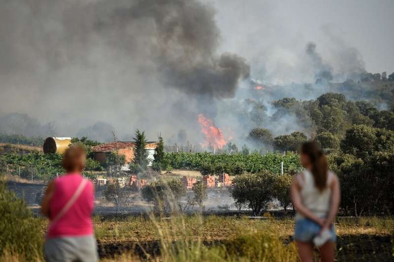 Smoke rising from the vineyards in Pumarejo, northwest Spain, on July 18, 2022