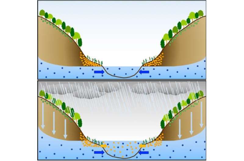 Soil along streams is a bigger source of stream nitrate than rainwater