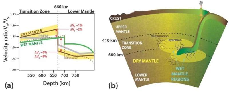 Sound velocities of superhydrous phase B and the presence of water in the Earth's mantle