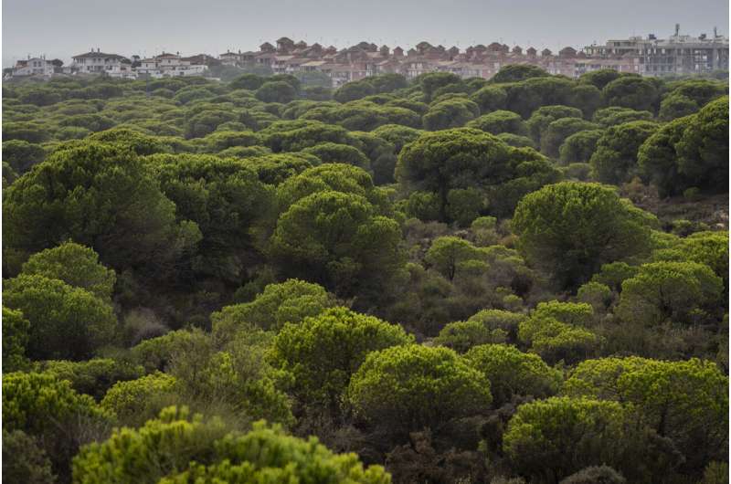 Spain pledges 350M euros to save Doñana wetlands
