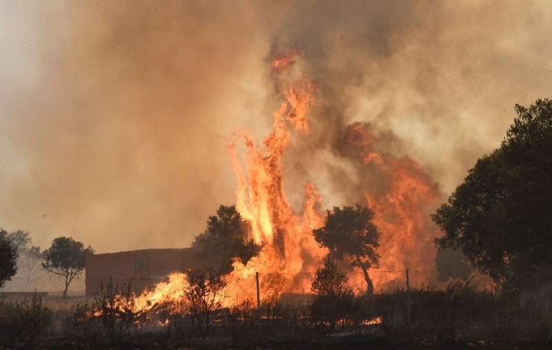 Spanish firefighters are battling several wildfires as temperatures reach 43C