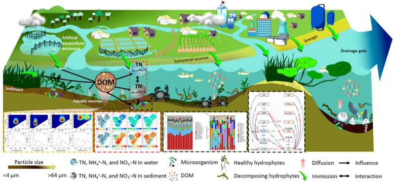 Spatial distribution characteristics of nitrogen and dissolved organic matter in large, shallow degenerating lake