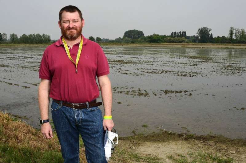 Stefano Greppi, jefe de la rama de Pavia de la asociación agrícola Coldiretti, en una plantación de arroz en Lombardía durante happie