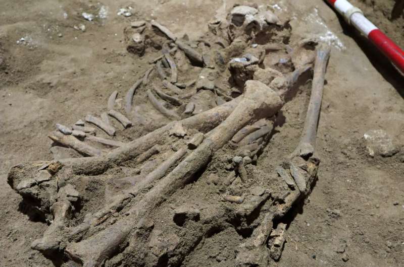 Stone Age skeleton missing foot may show oldest amputation