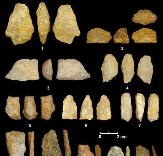 Stone projectile skills helped foragers occupy rainforests during southern Asia migration