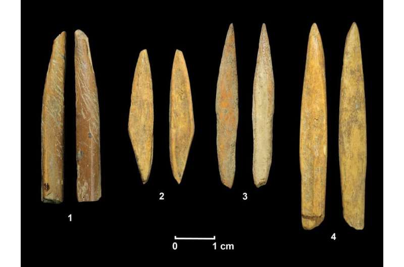 Stone projectile skills help foragers occupy rainforests during southern Asia migration