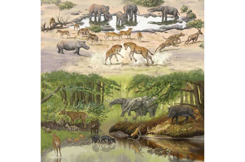 Strange fossil solves giraffe evolutionary mystery