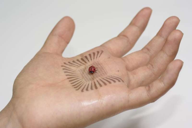 Stretchable, Self-Powered Bioelectronics Mimic Skin in Form and Function