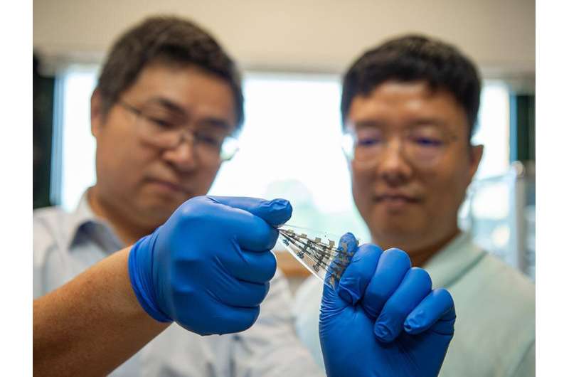 Stretchy, bio-inspired synaptic transistor can enhance, weaken device memories