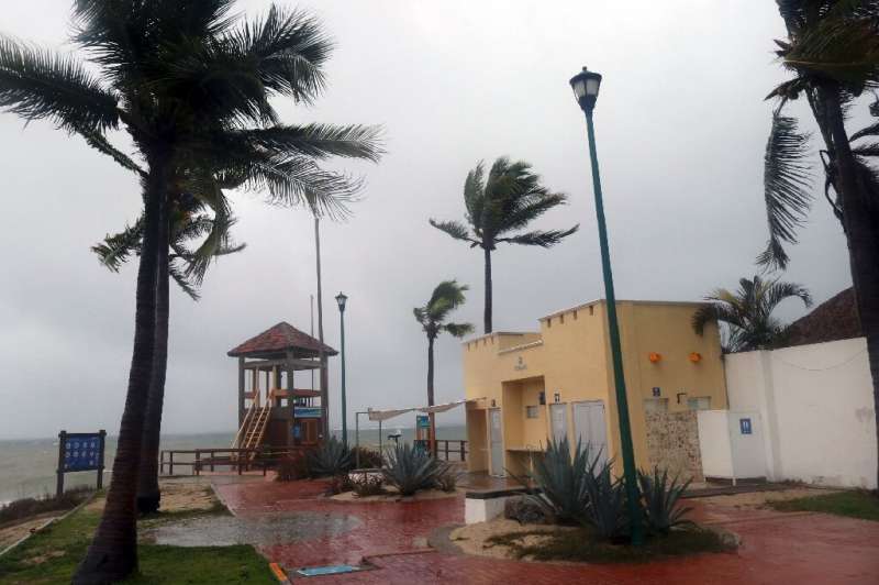 Strong winds buffet palm trees in Huatulco in southern Mexico as Hurricane Agatha nears