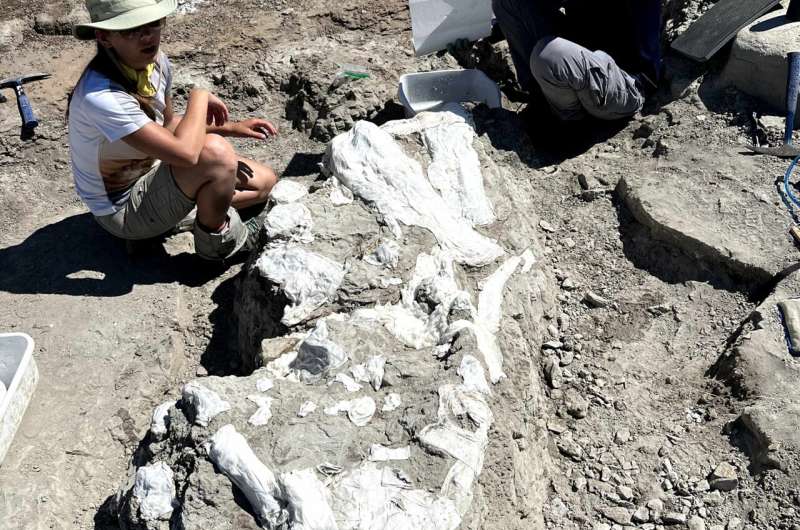 Student-led dinosaur excavation culminates in airlift