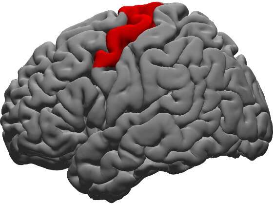 Study confirms site of brain region responsible for making sure people say words as intended