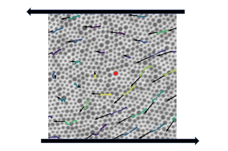 Study details the relationship between particle structure and flow in disordered materials