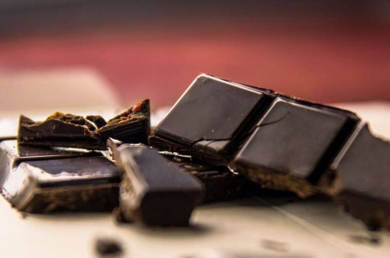 Study explores the effects on the brain of eating dark chocolate