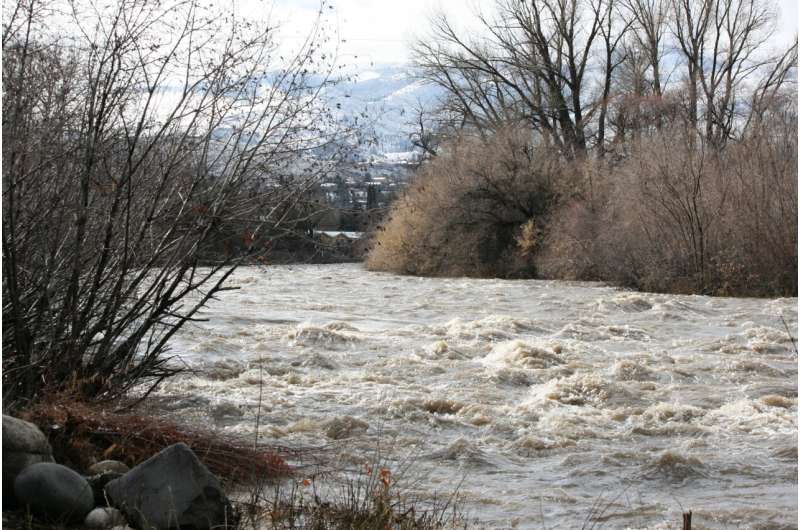 Study explores uncertainties in flood risk estimates