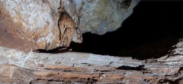 Study finds Australian caves are up to 500,000 years older than we thought—and it could explain a megafauna mystery