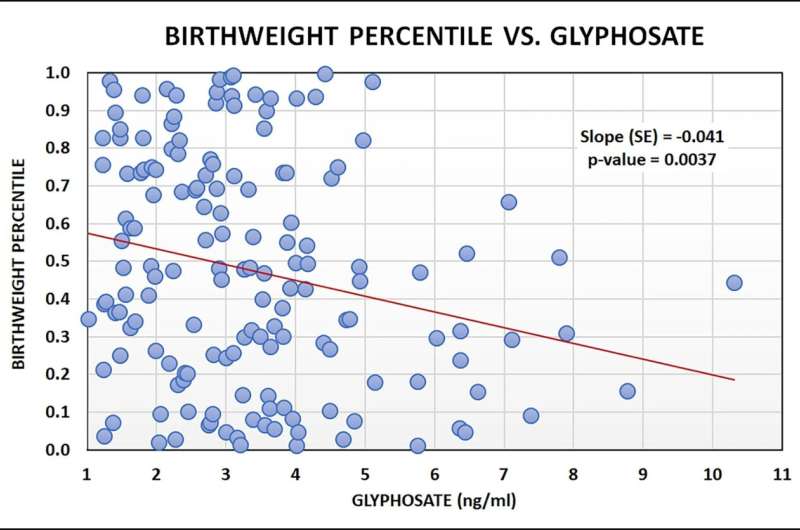 Study: High exposure to glyphosate in pregnancy could cause lower birth weights in babies